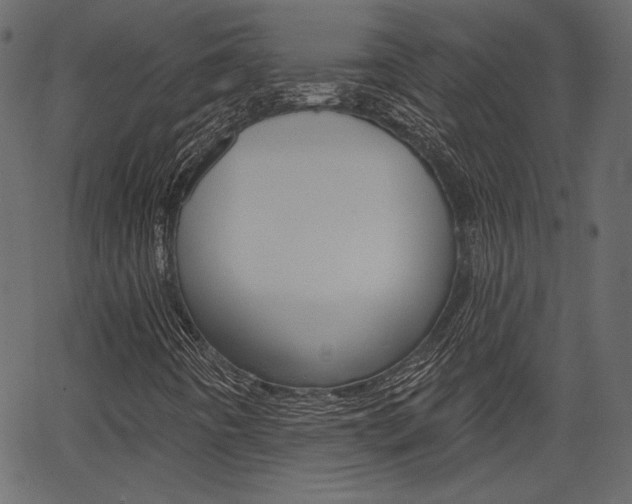 X0000067391442200603310944