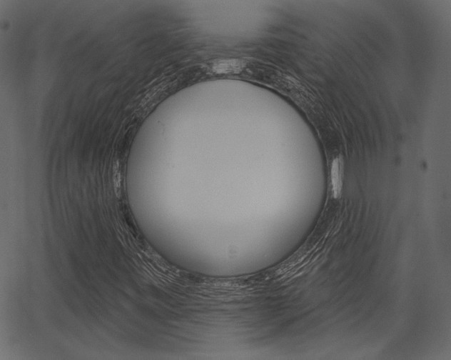 X0000067391443200603310943