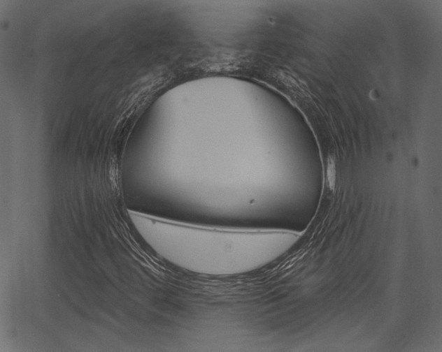 X0000067391444200603310943