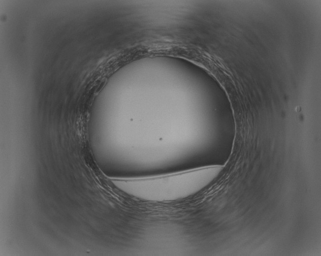 X0000067391445200603310943