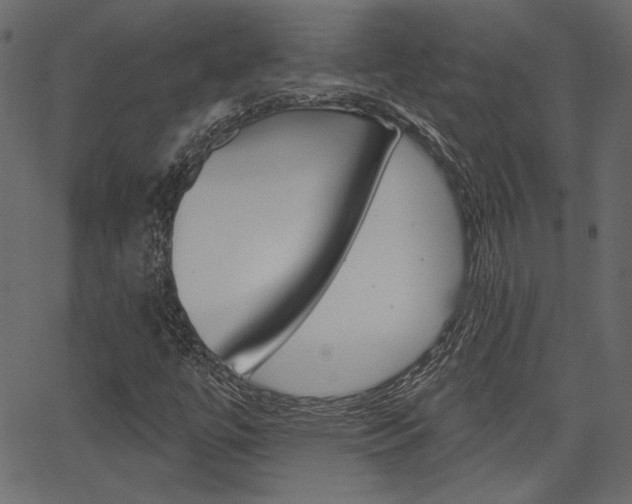 X0000067391447200603310943