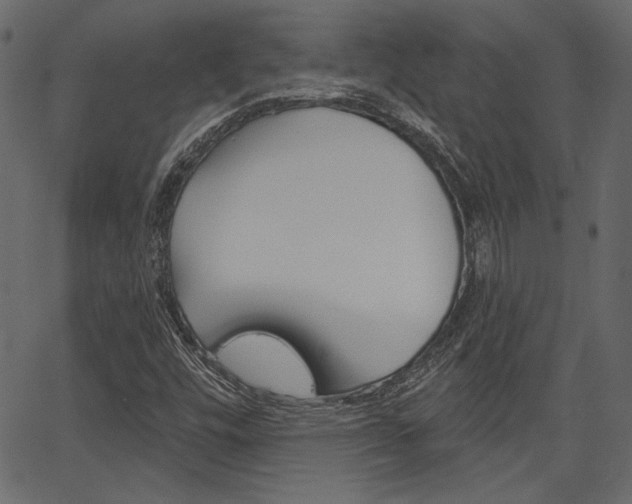 X0000067391448200603310943