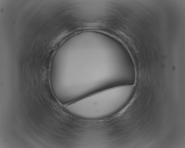 X0000067391449200603310943