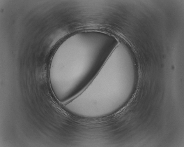 X0000067391450200603310943