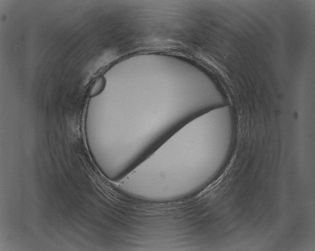 X0000067391451200603310943