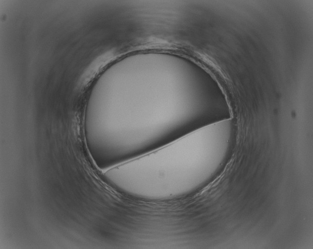 X0000067391455200603310943