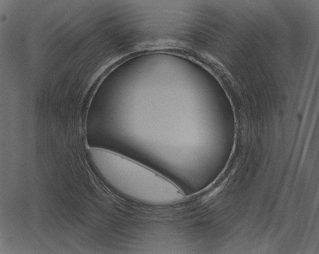 X0000067391457200603310943