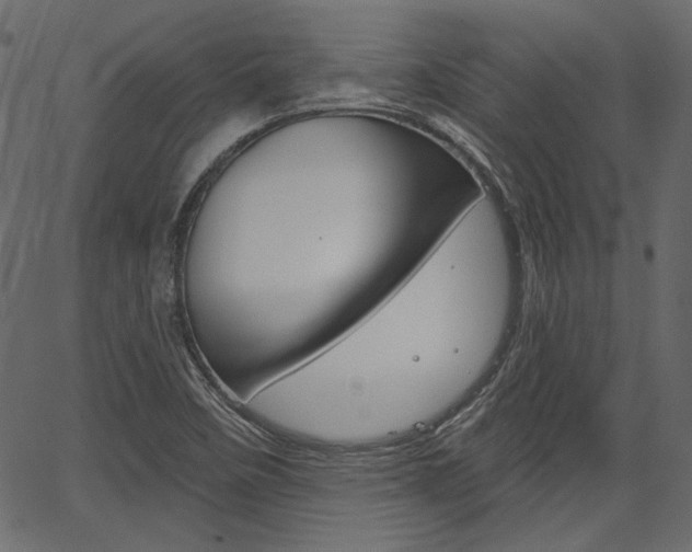 X0000067391458200603310943