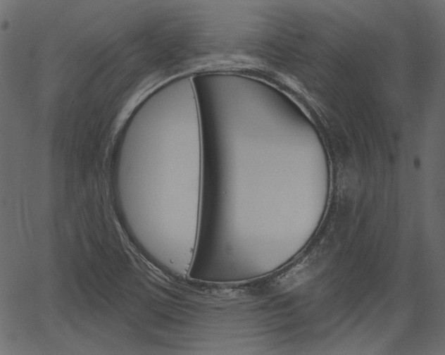 X0000067391459200603310943