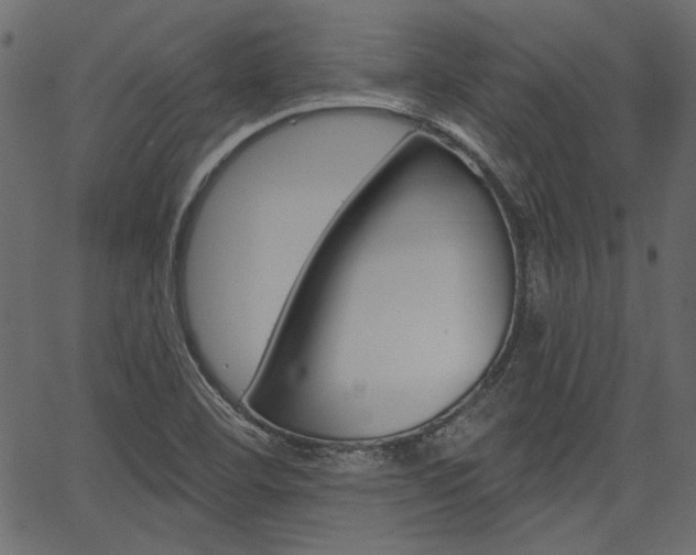 X0000067391460200603310943