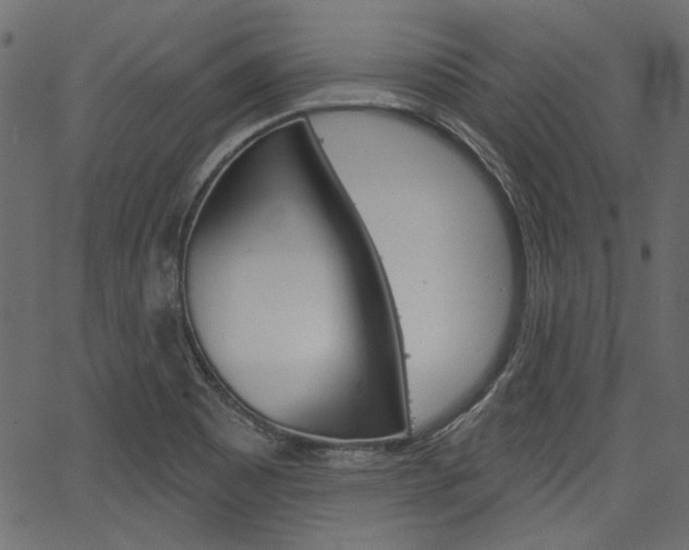 X0000067391465200603310943