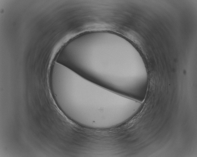 X0000067391472200603310943