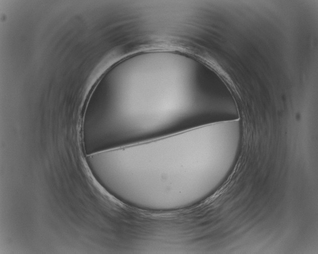 X0000067391484200603310943