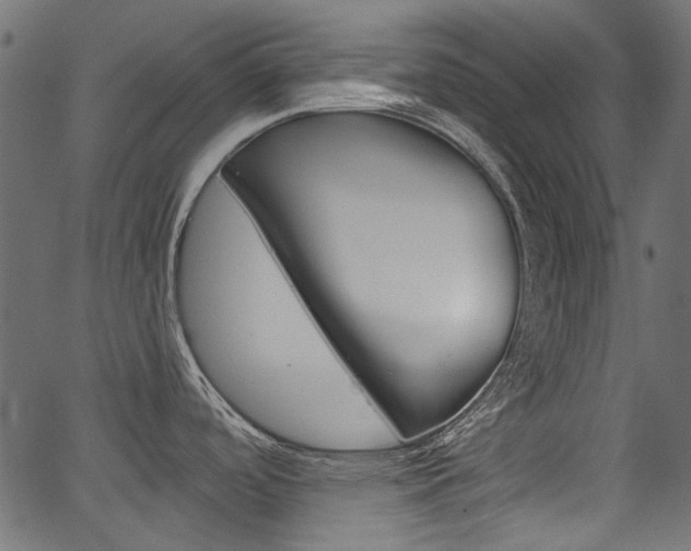 X0000067391488200603310943
