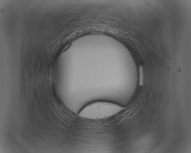 X0000067391491200603310942