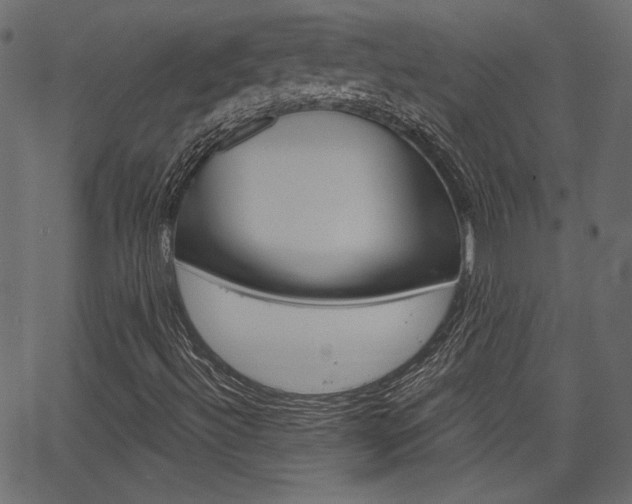 X0000067391492200603310942