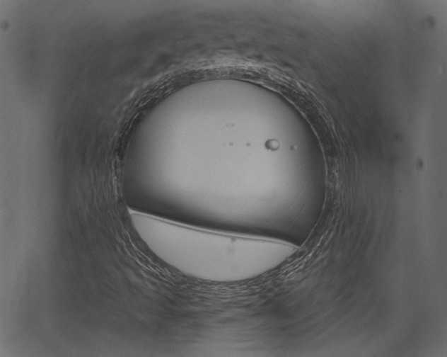 X0000067391493200603310942