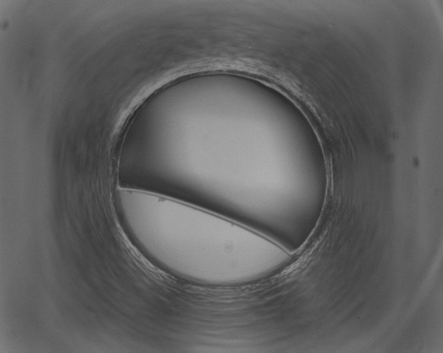 X0000067391500200603310942