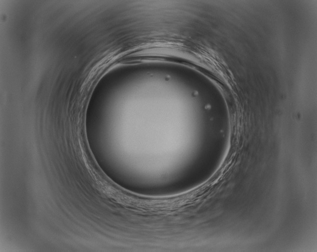 X0000067390001200603311310