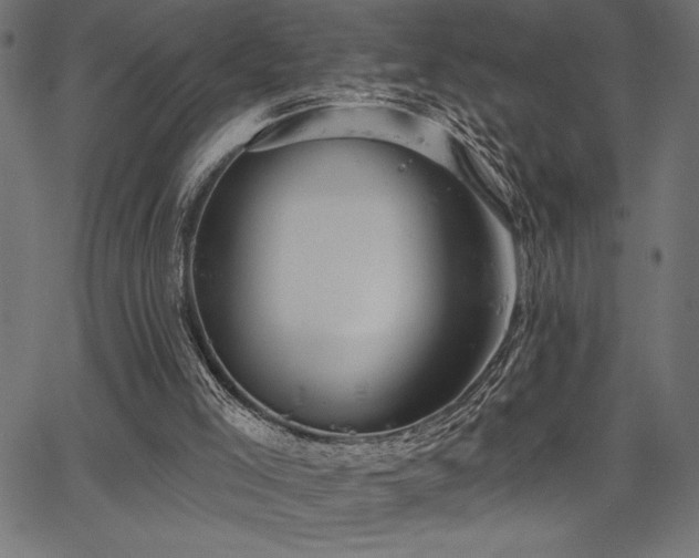 X0000067390005200603311310