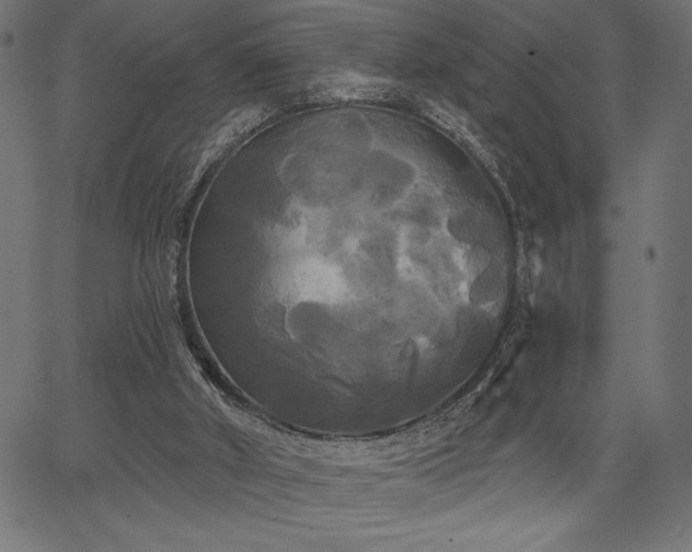 X0000067390010200603311310