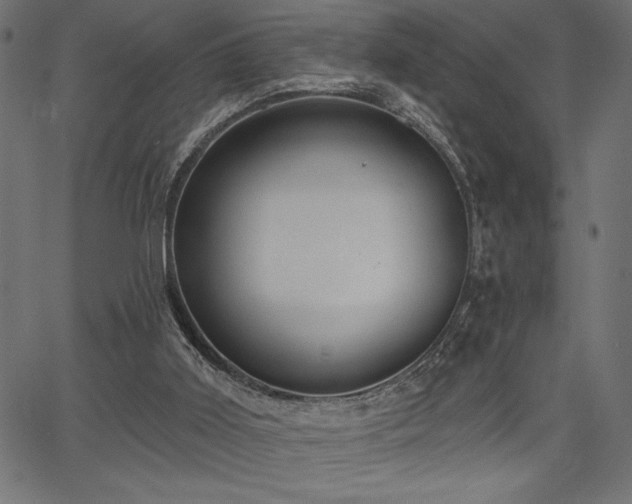 X0000067390011200603311310