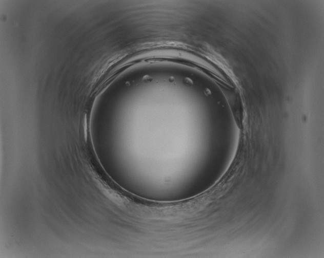 X0000067390013200603311310