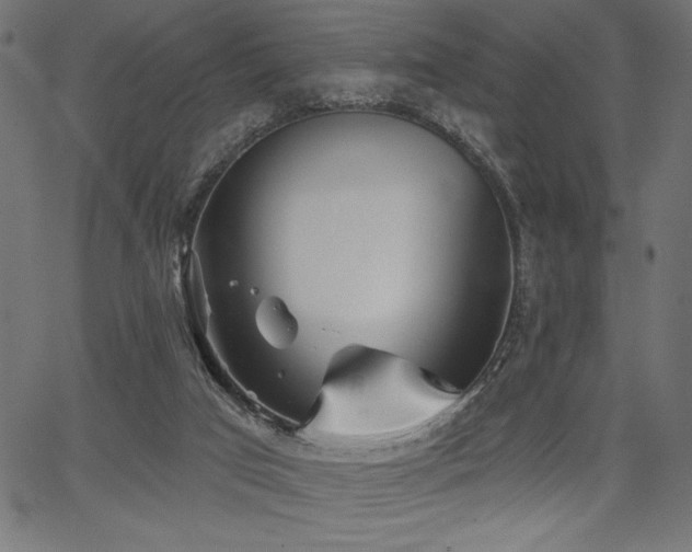 X0000067390017200603311310