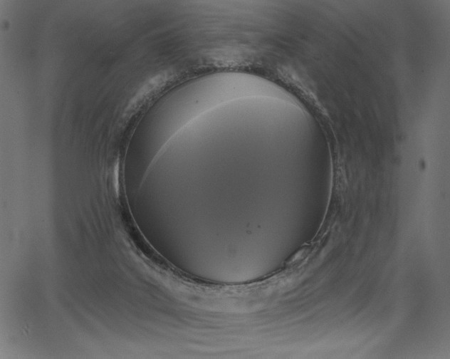 X0000067390019200603311310