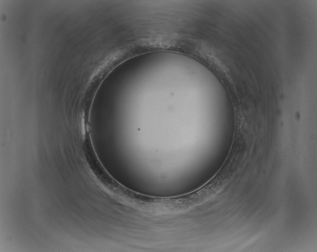 X0000067390020200603311310