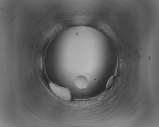 X0000067390021200603311310