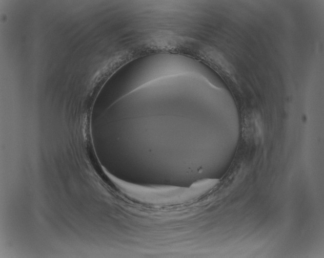 X0000067390023200603311310