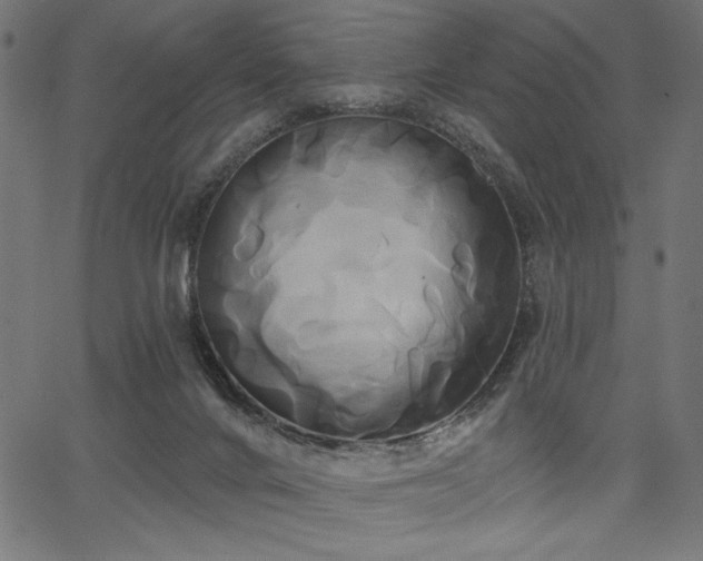 X0000067390024200603311310