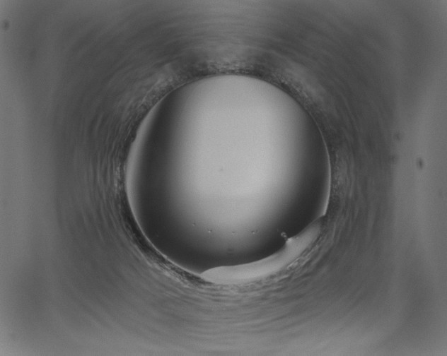 X0000067390025200603311310