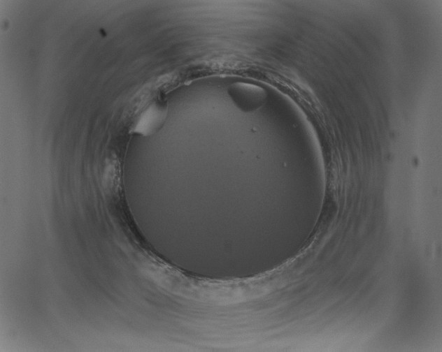 X0000067390029200603311310