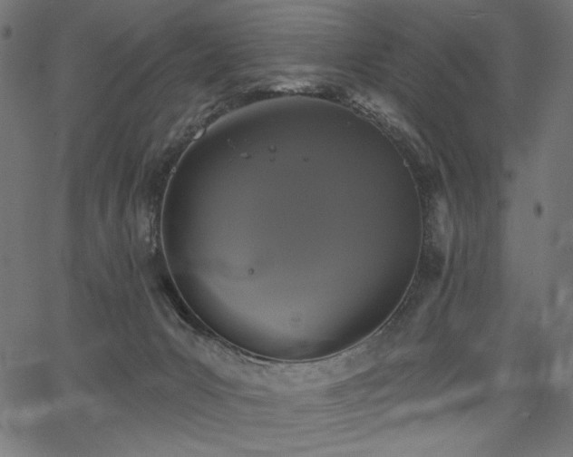 X0000067390031200603311310