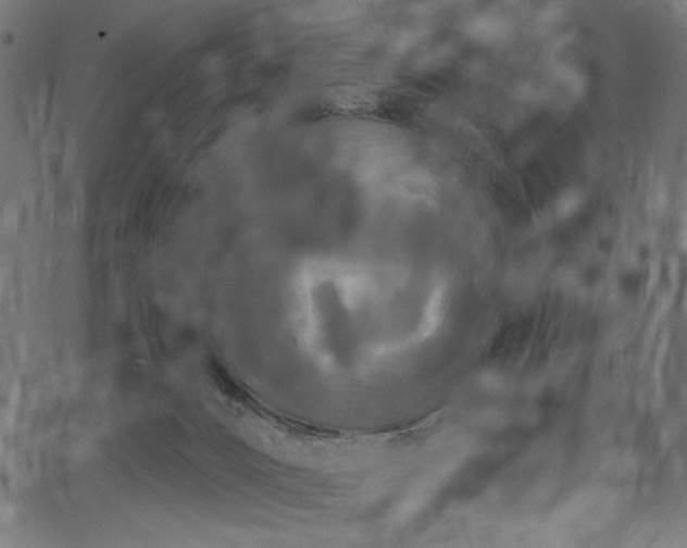 X0000067390032200603311310