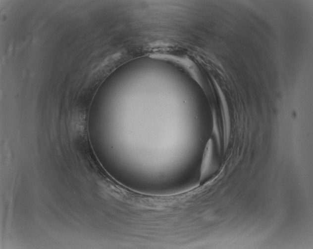 X0000067390033200603311310