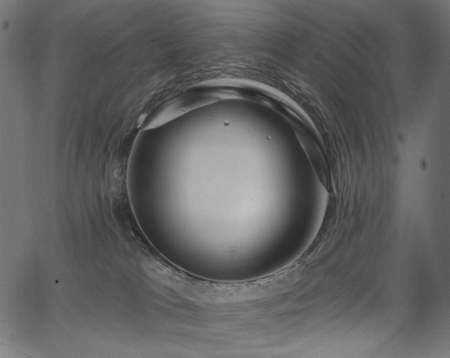 X0000067390037200603311310