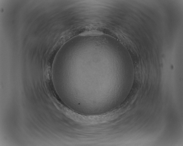 X0000067390038200603311310