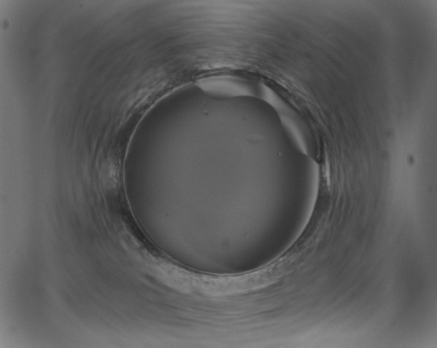 X0000067390039200603311310