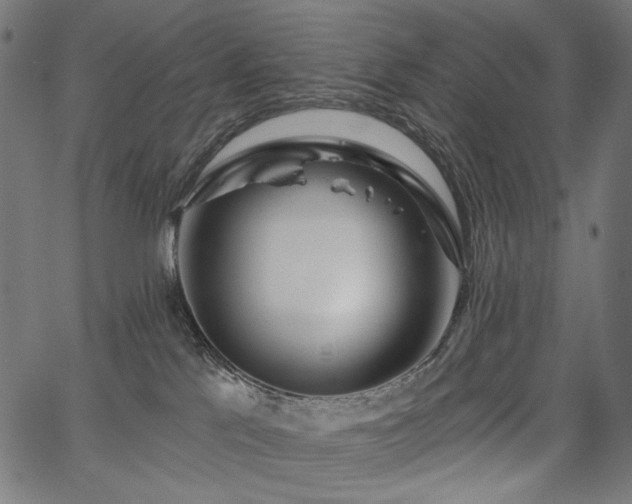 X0000067390041200603311310