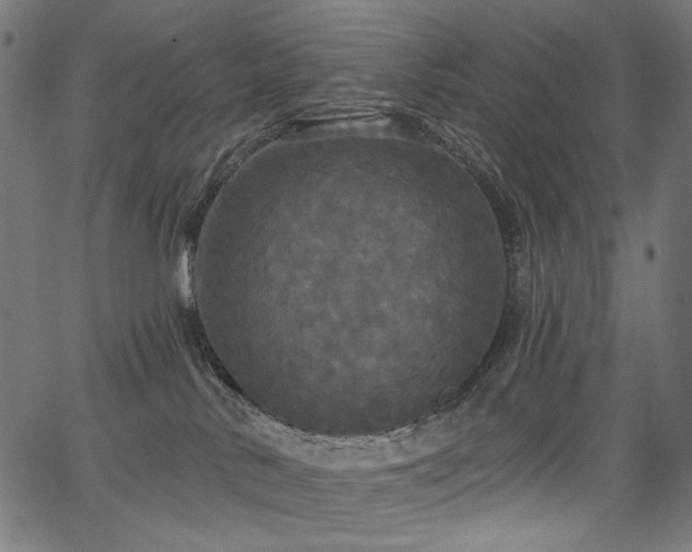 X0000067390042200603311310