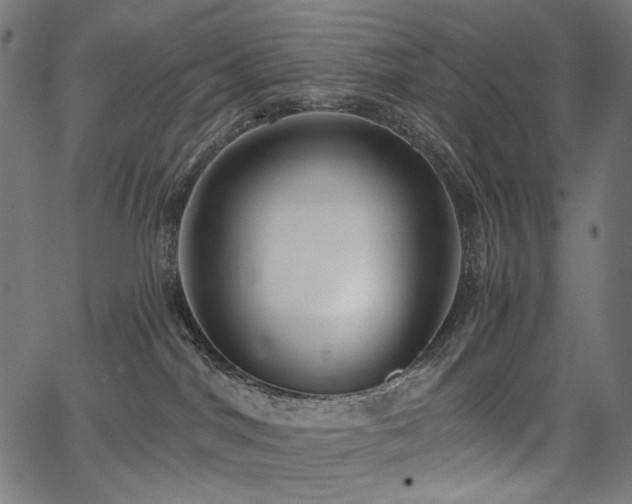 X0000067390044200603311310