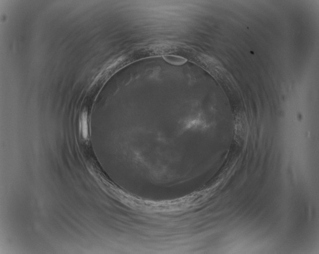 X0000067390046200603311310