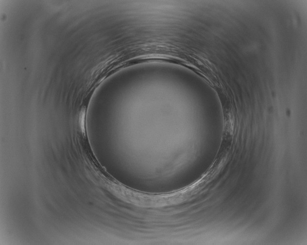 X0000067390047200603311310