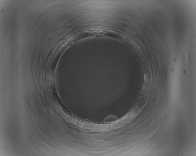 X0000067390048200603311310