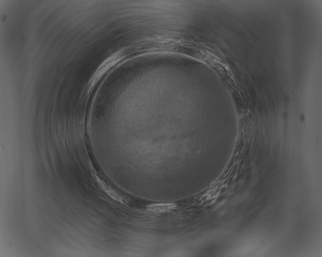 X0000067390051200603311309