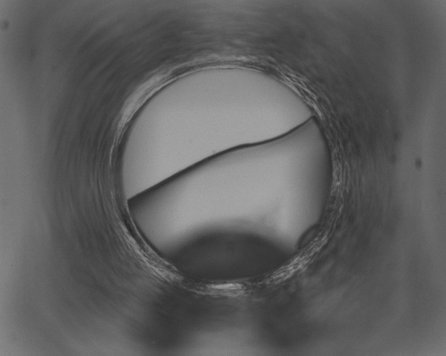 X0000067390053200603311309