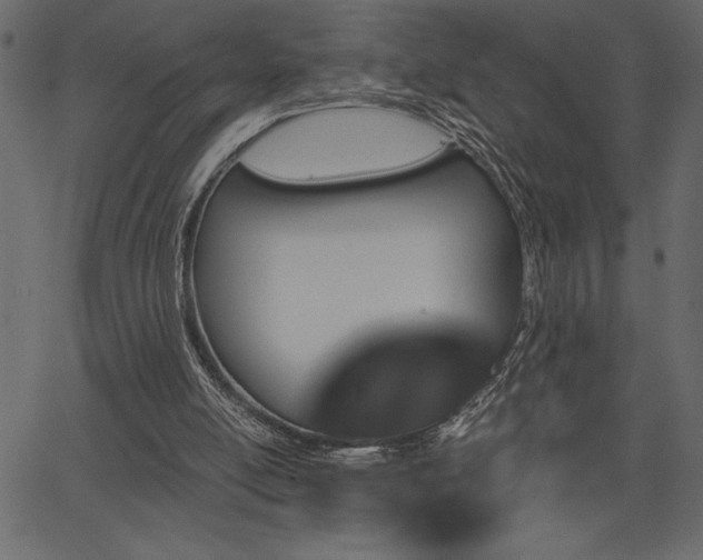 X0000067390054200603311309